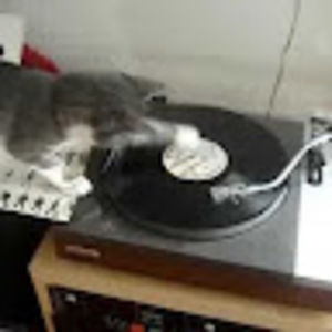 Meet your Posher, Melba